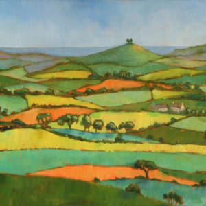 Across to Colmer's Hill