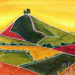 Patterns of Colmer's Hill