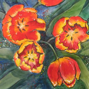 Red and Yellow Tulips