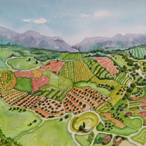 Fields of Ronda, Andalucia