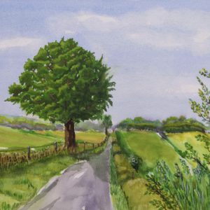 Along the Lane
