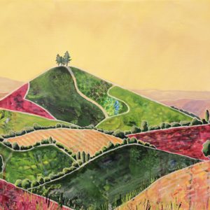 Textured Fields to Colmer's Hill