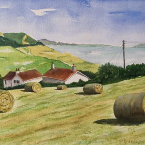 Charmouth Hayfield