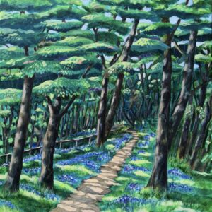 Through the Bluebell Wood