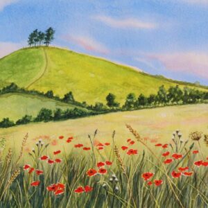 Colmer's Hill Poppies